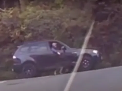 Un homme promène son chien en conduisant sa voiture (Vidéo)